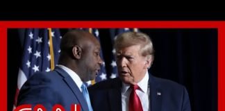 ‘A very chilling signal’: Ex-Trump official reacts to Tim Scott’s answer about election results