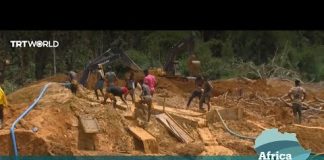 Africa Matters: Mining and logging threaten Ghana forests