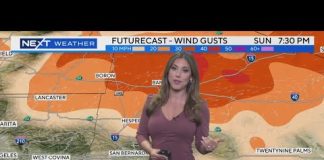 Alex Biston's weather forecast (May 19)