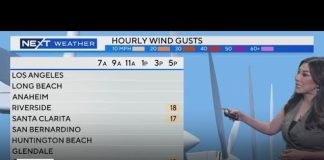 Amber Lee's Morning Weather