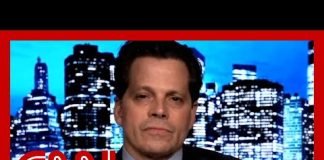 Anthony Scaramucci reacts to Michael Cohen’s testimony