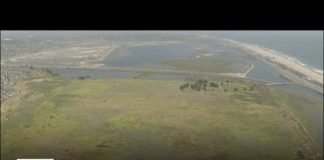 Bolsa Chica Ecological Reserve | Look At This!