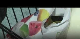 California could ban plastic bags