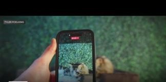Camera tips and tricks for the iPhone