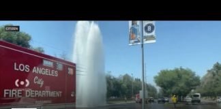 Car shears fire hydrant in Encino