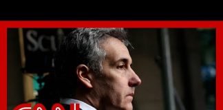 CNN reporter reads ‘perhaps the most important legal moment’ of Michael Cohen’s testimony