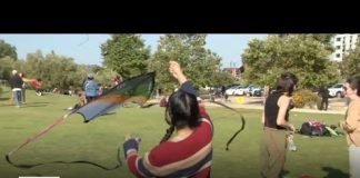 Crowds gather for Community & Unity People's Kite Festival in Chinatown