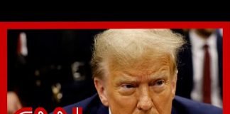 Daniel Dale fact-checks Trump’s comments on his gag order after court