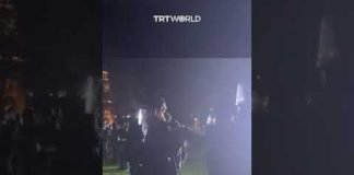 Dartmouth professor assaulted and detained at pro-Palestine protest