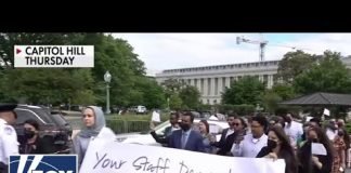 Dem staffers told to wear masks, remove IDs before anti-Israel protest
