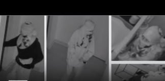 Deputies looking for burglar who stole X-ray machine and tools from dentist's office