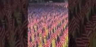 Flags for the Fallen remembers the Mighty Eighth Air Force #shorts