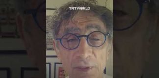 ’Gaza occupies my heart!’: Holocaust survivor Gabor Mate tells TRT World
