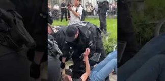 German police break up pro-Palestine protest at Humboldt University