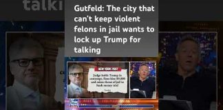 Greg Gutfeld: Trump should have thrown this money at the judge #shorts