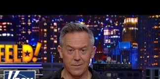 ‘Gutfeld!’: Robot dogs get glitter and fur