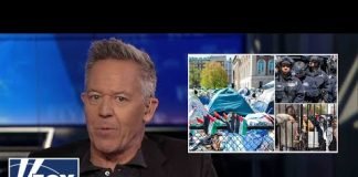 Gutfeld: There's a larger force at play here