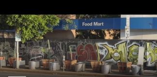 Hollywood business puts planters on sidewalk to prevent homeless encampments