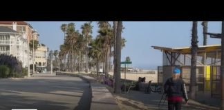 Homeless man drags woman by ponytail on Santa Monica beach path, charged with assault