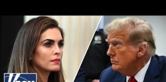 I expect Michael Cohen will not be liked by the jury: Brett Tolman