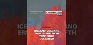 Iceland volcano erupts for fifth time since December