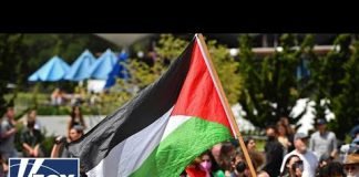 Live: University leaders testify on campus antisemitism before Congress