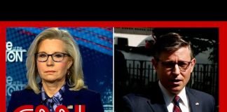Liz Cheney slams Mike Johnson for defending Trump outside of trial