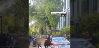 Man drives car towards crowd at Portland State University, uses pepper spray