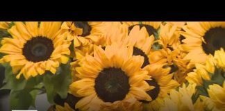 Mexican Mother's Day at the flower mall in DTLA
