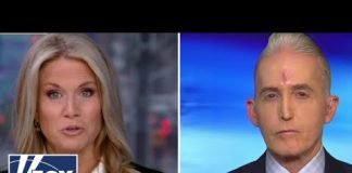 Michael Cohen has a motive for revenge: Trey Gowdy
