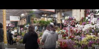 Mother's Day shoppers flood Flower Mart in search of perfect arrangement