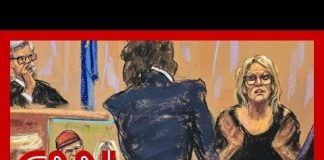 'Never going to work': Honig reacts to Stormy Daniels's approach in court