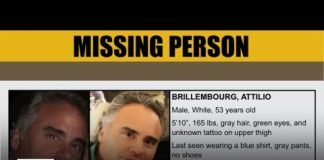 New York man reported missing from Malibu