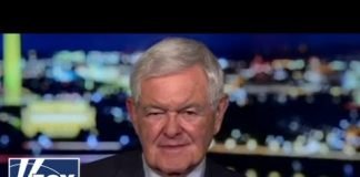 Newt Gingrich: Democrats know they can't beat Trump