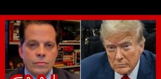 ‘Obligatory loyalty’: Former Trump WH official reacts to Trump allies showing up to court
