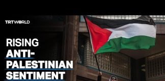 Palestinian-Canadian activist on Canada's response to Israel's war on Gaza