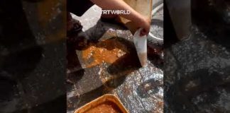 Palestinian girl in Gaza scoops up spilt food