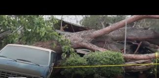 People inside Monrovia home crushed by huge tree