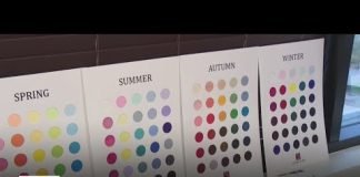 Personal color analyst in Koreatown helps clients find what tones work best for them