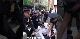 Police arrest pro-Palestinian protesters heading to Met Gala