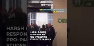Police harshly intervene in pro-Palestine protest at Sciences Po Paris