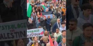 Pro-Palestine protests in Sweden against Israel’s Eurovision inclusion