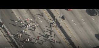 Pro-Palestinian protesters block 101 Freeway in Downtown LA