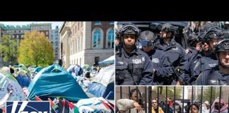Social justice ideology ‘took over’ campus: Mollie Hemingway