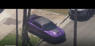 Stolen car pursuit ends in South LA