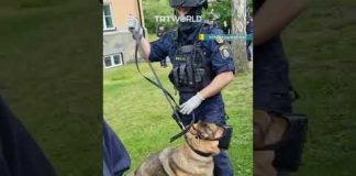 Swedish police unleash dogs on pro-Palestine demonstrators