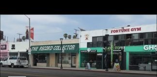 "The Record Collector" owner looks to sell iconic store