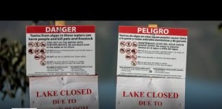 Toxic algae blooms create unsafe water condition for humans and pets across SoCal