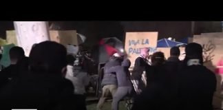 Violence at UCLA protests under investigation