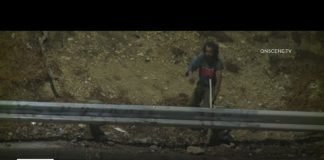 Watch: Man throws rocks onto 110 Freeway in South LA